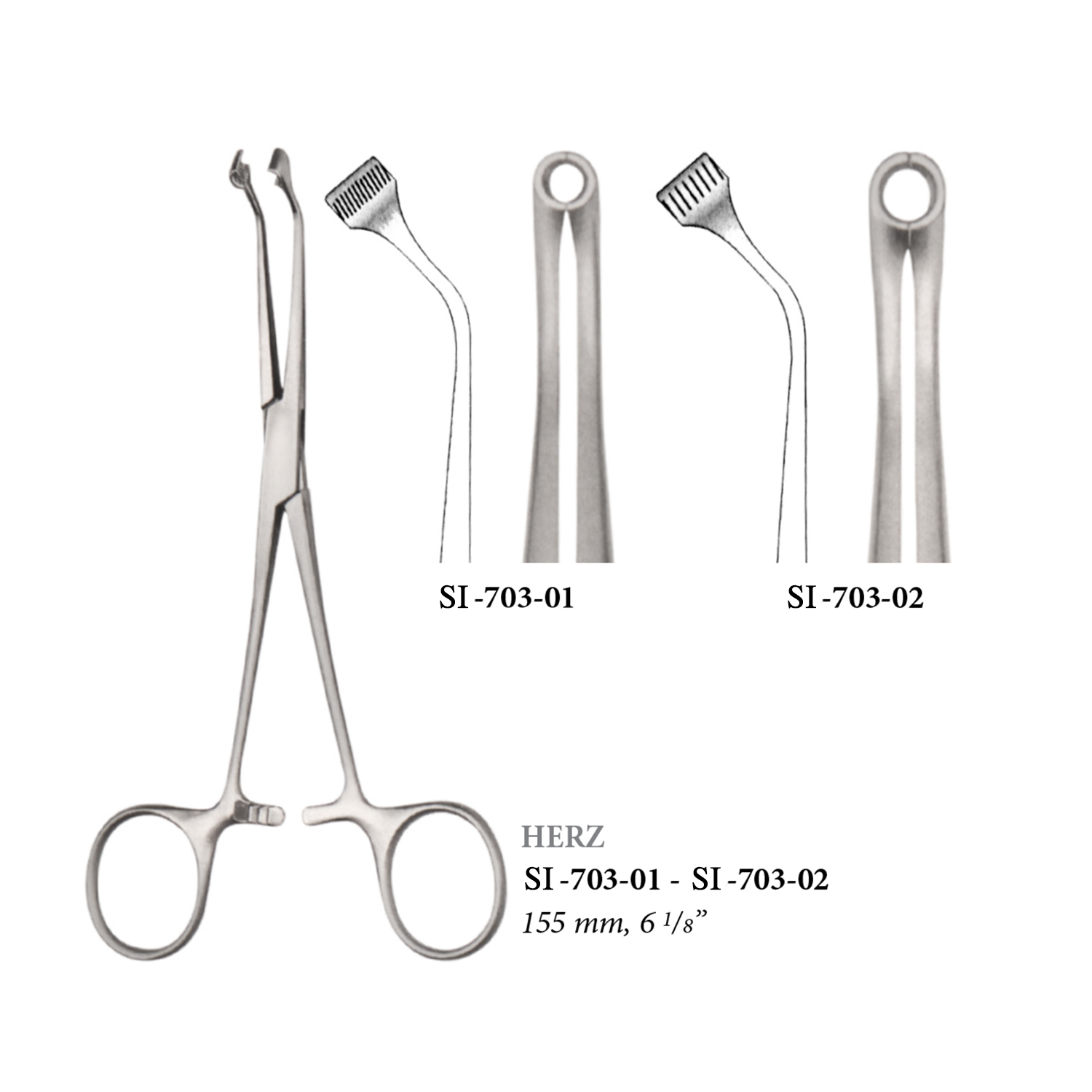 Herz's-tendon-seizing-forceps,155-mm